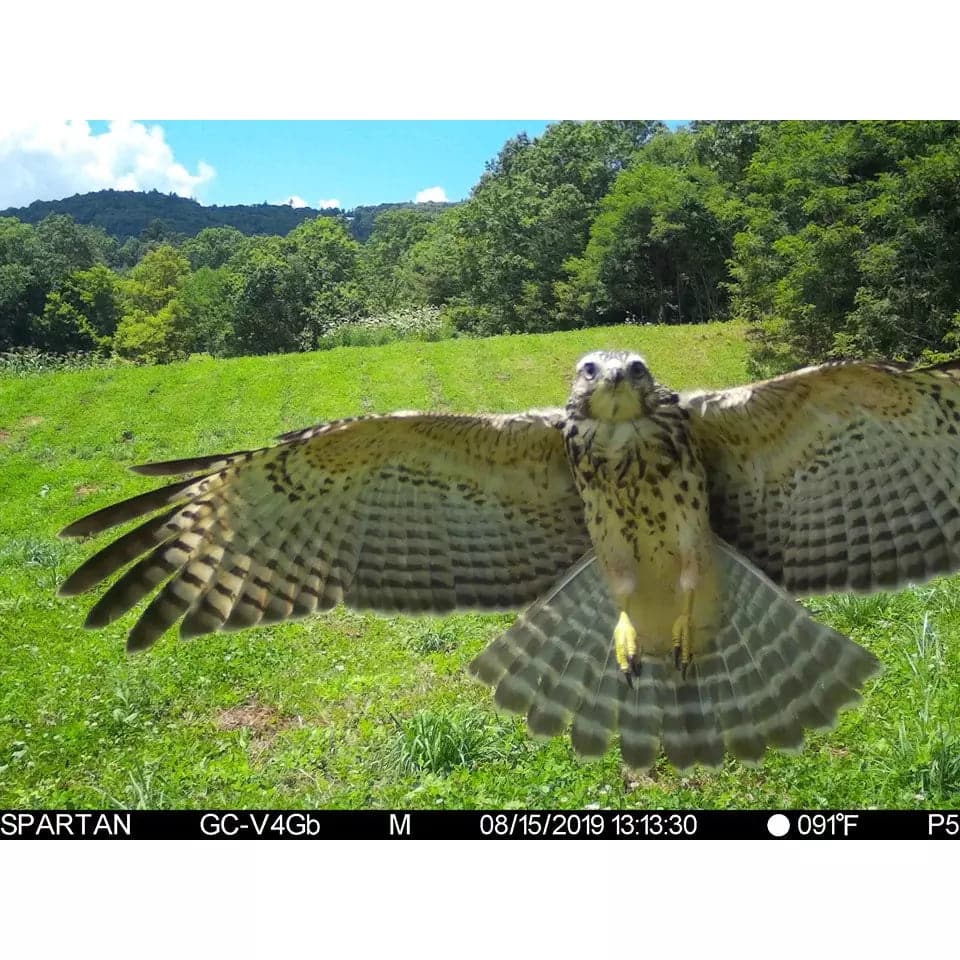 Spartan GoCam 4G/LTE (Spartan Shared Data)