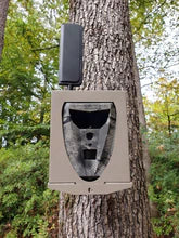 Spartan Security Box